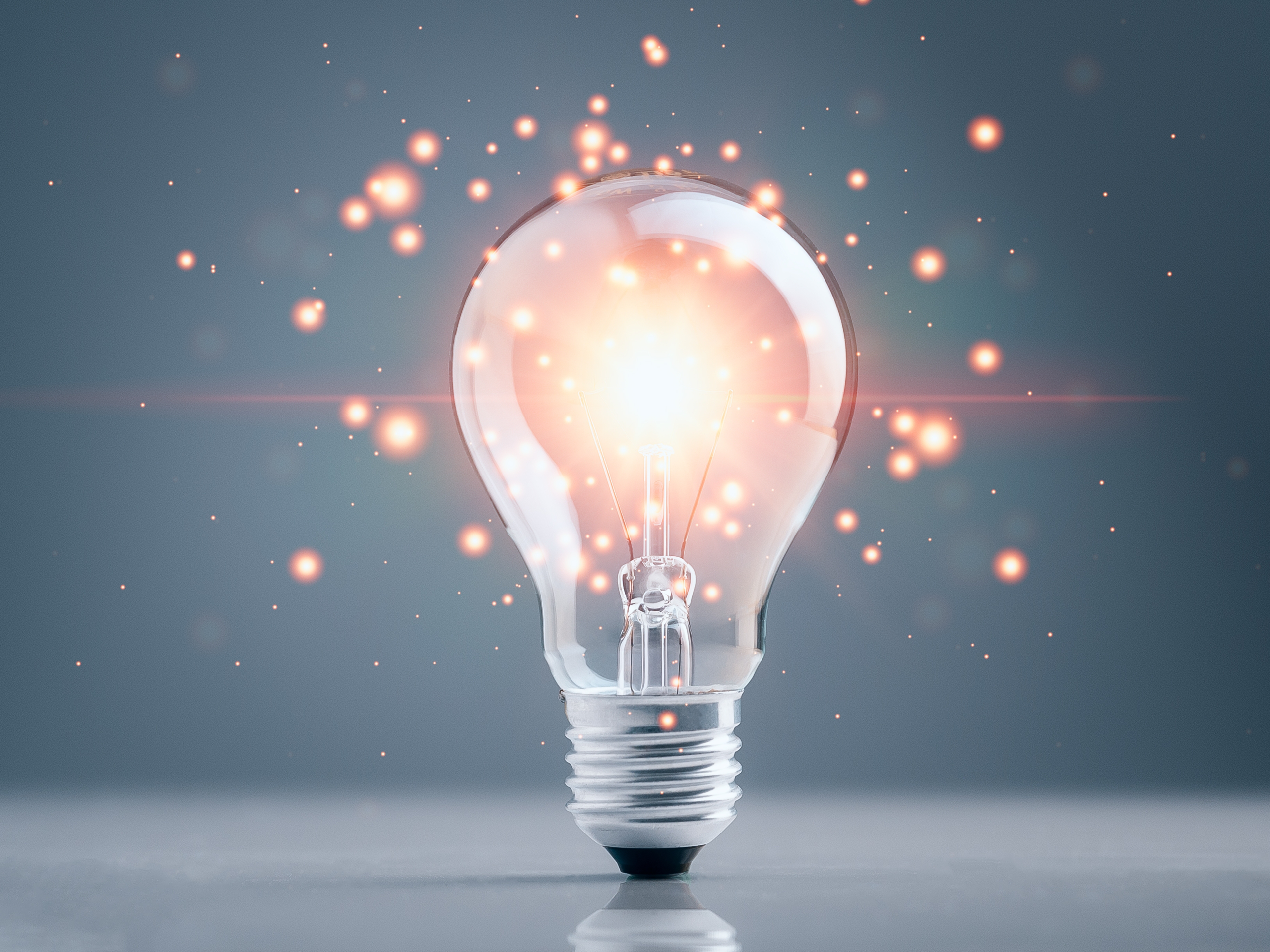 News and Insights 1 Looking Back on a Successful and Inspiring 2025